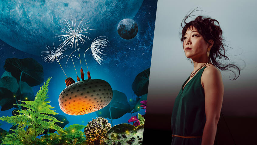 📄 INTERVIEW ● Rencontre inspirante avec Momoko Seto, réalisatrice de "Planètes" « Je voulais proposer cette surprise de se dire qu’on peut voir, vivre et se mouvoir autrement. »